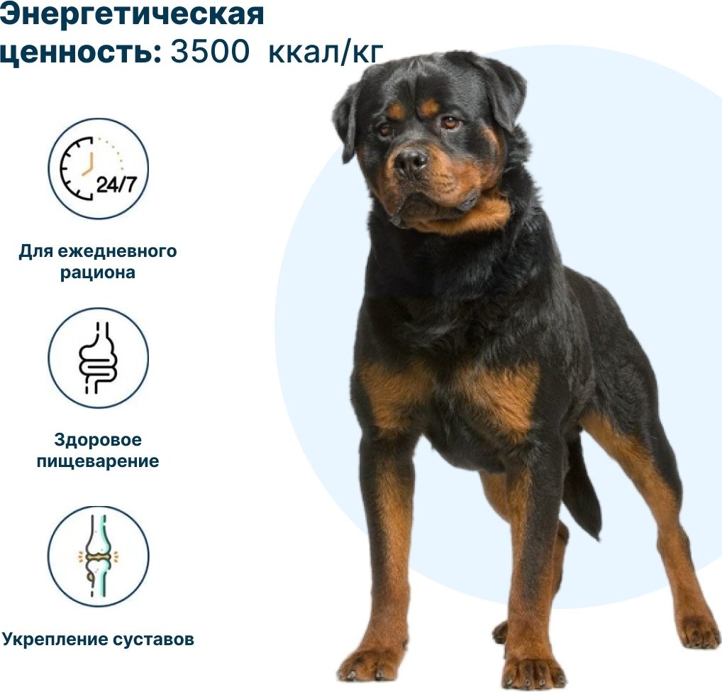 Корм YUMMI Premium Quality Говядина для взрослых крупных пород 20 кг купить,NaN
