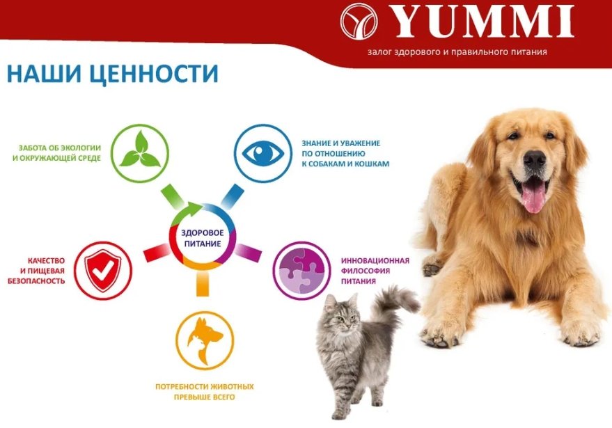 Корм YUMMI Premium Quality Говядина для взрослых средних и крупных пород 20 кг купить,NaN
