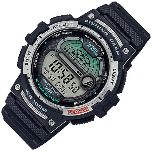 Часы Casio WS-1200H-1AVEF купить,NaN