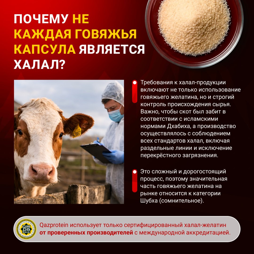 Qazprotein Omega 3 капсулы 200 шт