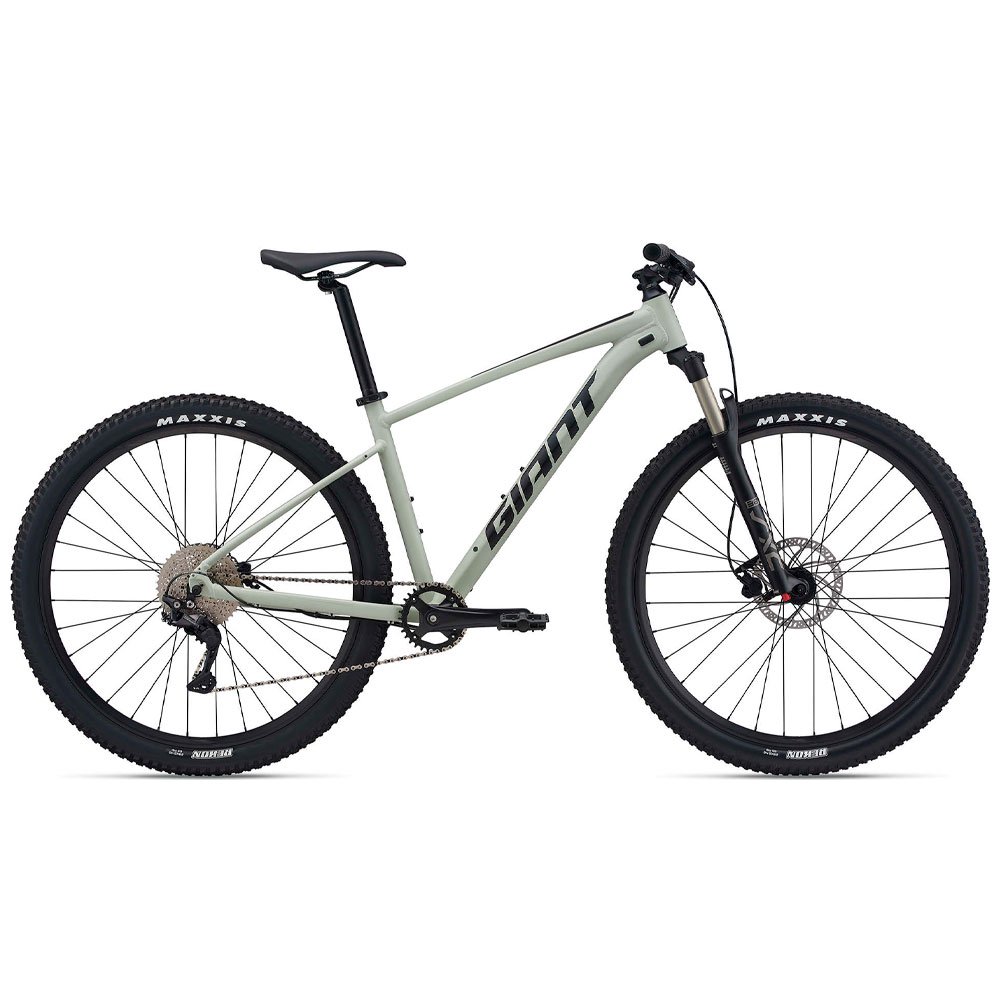 Велосипед Giant Talon 29 1 - 2021 S-24 29" 21011054 desert sage купить,NaN