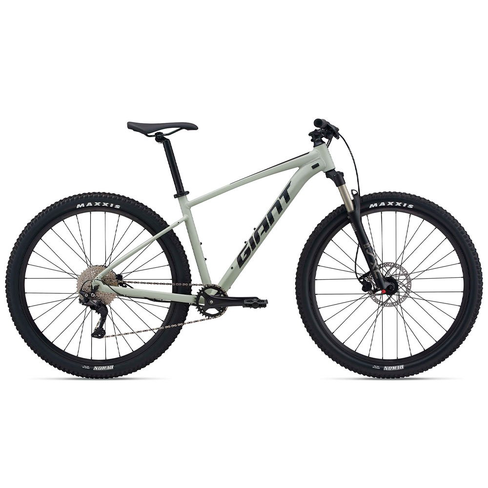 Велосипед Giant Talon 29 1 - 2021 S-24 29" 21011054 desert sage купить,NaN