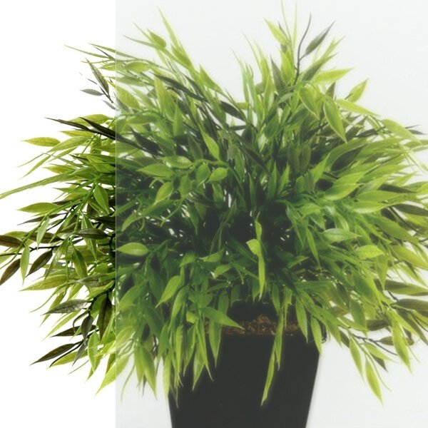 Душевое ограждение Triton двухстенное Альфа-Хром КС81без поддона, 900х1950 мм