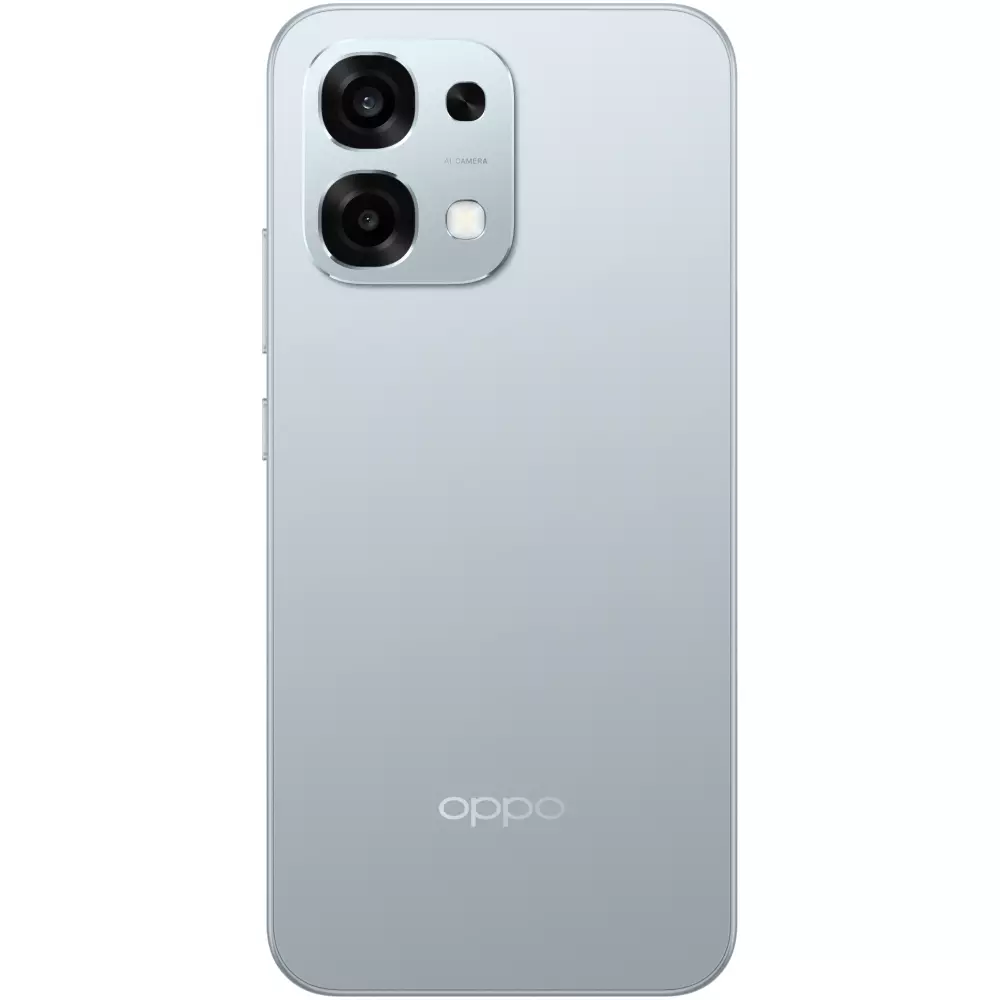 Смартфон OPPO A6 Pro 4G 8/256Gb Lunar Titanium купить,209000