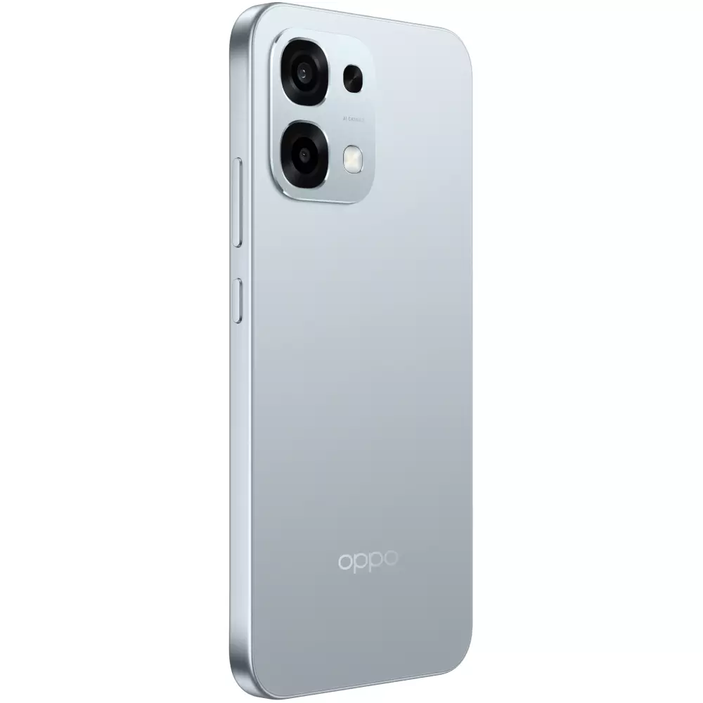Смартфон OPPO A6 Pro 4G 8/256Gb Lunar Titanium купить,209000