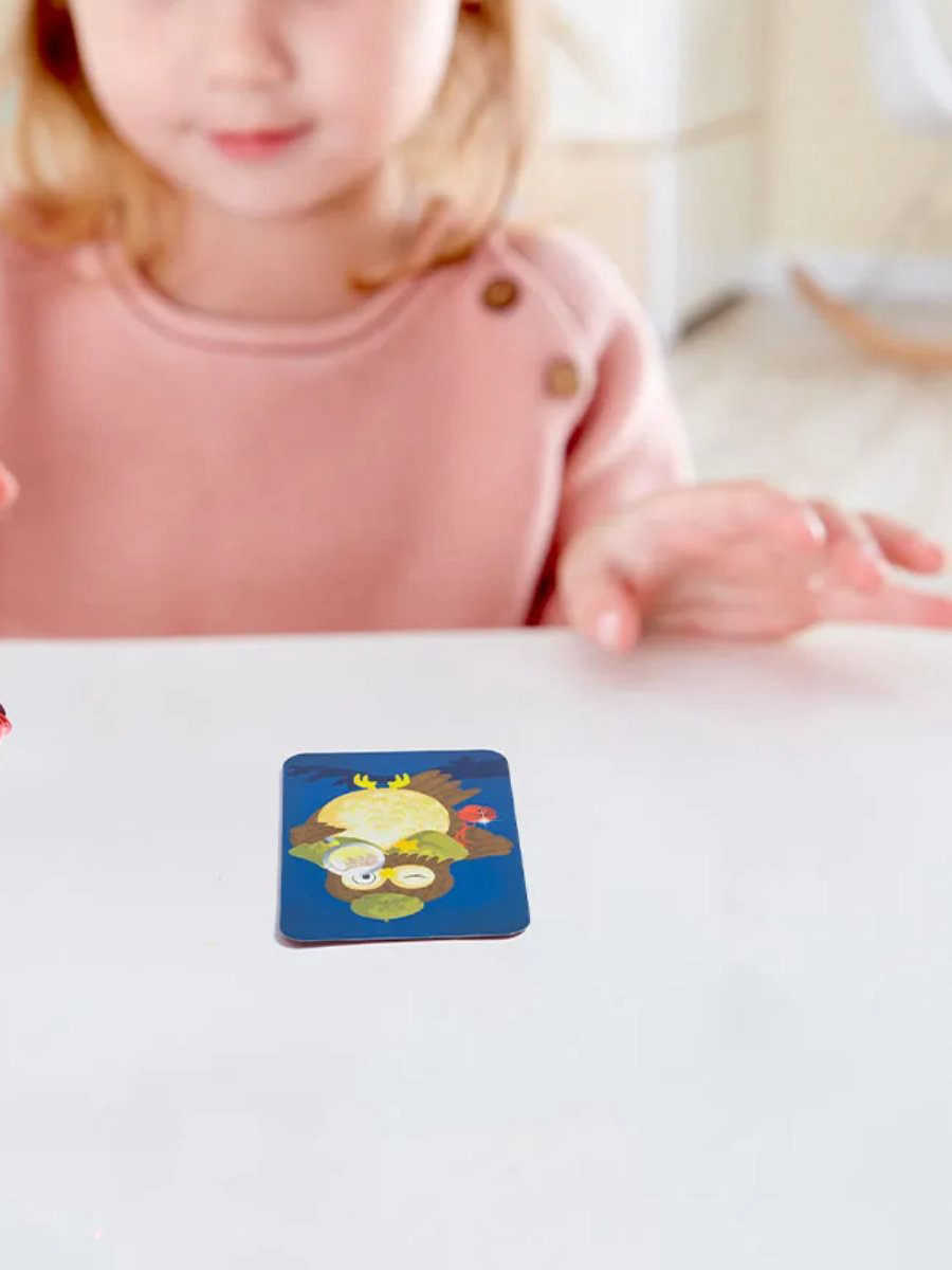 Настольная игра Hape Воришка сладостей купить,5400