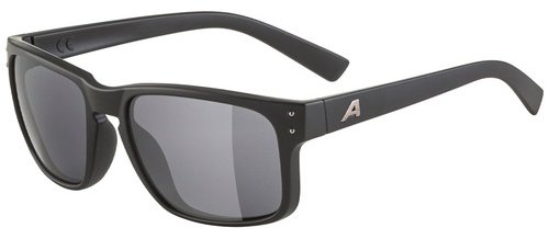 ALPINA солнцезащитные очки нестандартные УФ-фильтр купить,23900
