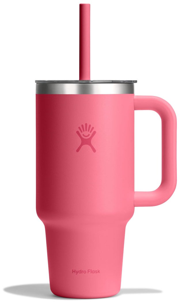 Термокружка Hydro Flask Travel Tumbler TT32PSCC668 0.9 л розовый