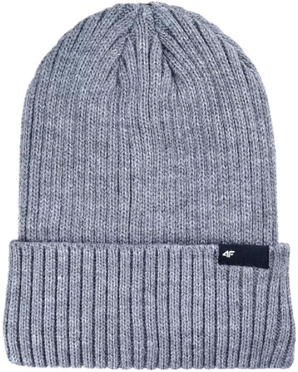 Шапка 4F Sportstyle 4FWAW24ACAPM470-24M серый L купить,NaN