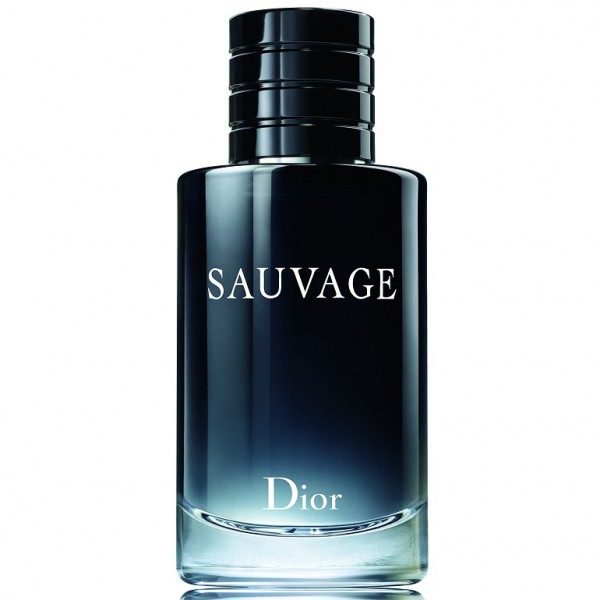 Туалетная вода Christian Dior Sauvage 2015 100мл купить,104150