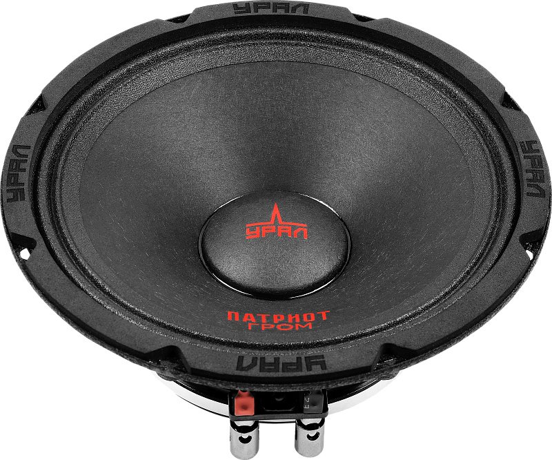 УРАЛ среднечастотная АС ПАТРИОТ АС-ПТ165.2 ГРОМ