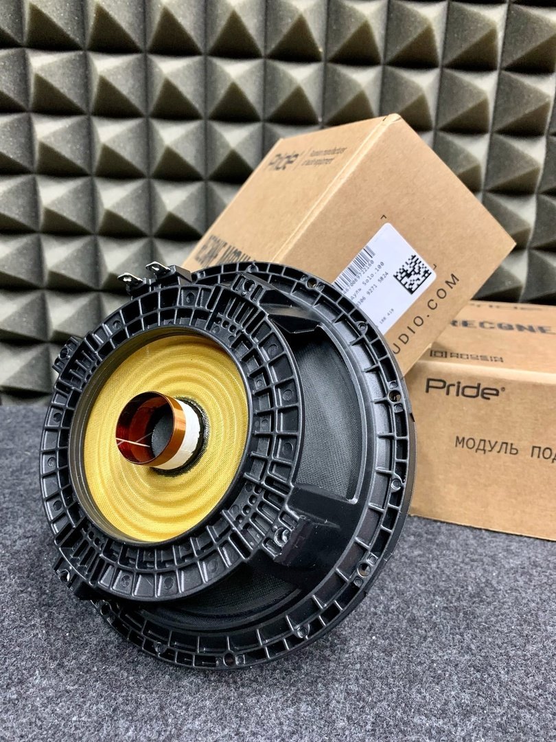 Сменный модуль для динамика Pride Solo 100