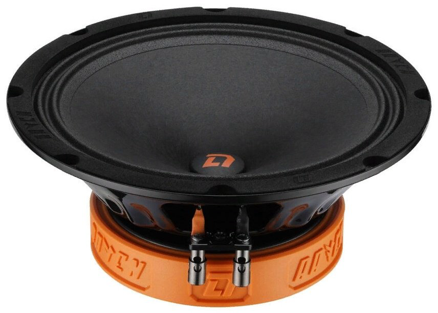 DL Audio среднечастотная АС Raven 200