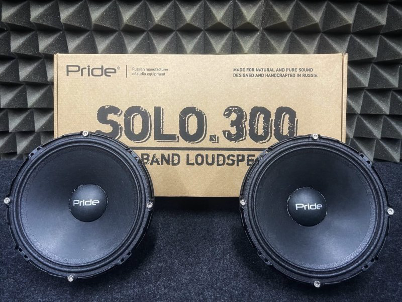 PRIDE среднечастотная АС Solo 300 купить,68900