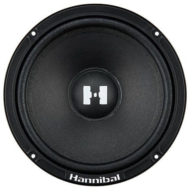 Deaf Bonce компонентная АС Hannibal HC-60 купить,function inputValueFn(){if((0,signal2.mK)(node),node.value===REQUIRED_UNSET_VALUE)throw new root_effect_scheduler.buA(-950,null);return node.value}