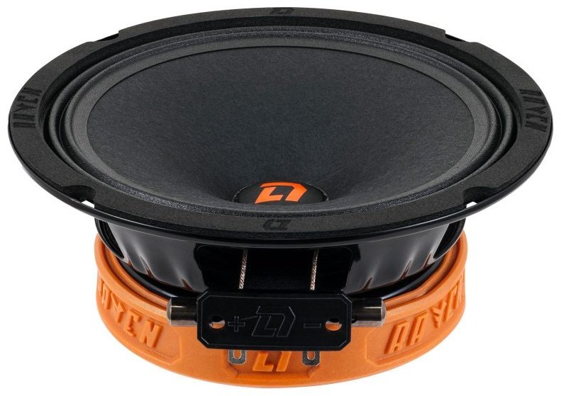 DL Audio среднечастотная АС Raven 165 v.2