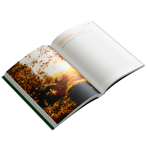Книга Девон Фредериксон Путешествие с палаткой 978-5-6045333-0-7 купить,NaN