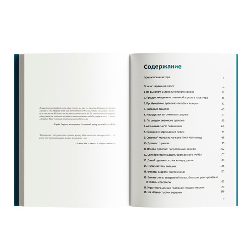 Книга  Эдвард Пауэр Драконы в снегу 978-5-6045333-9-0 купить,NaN