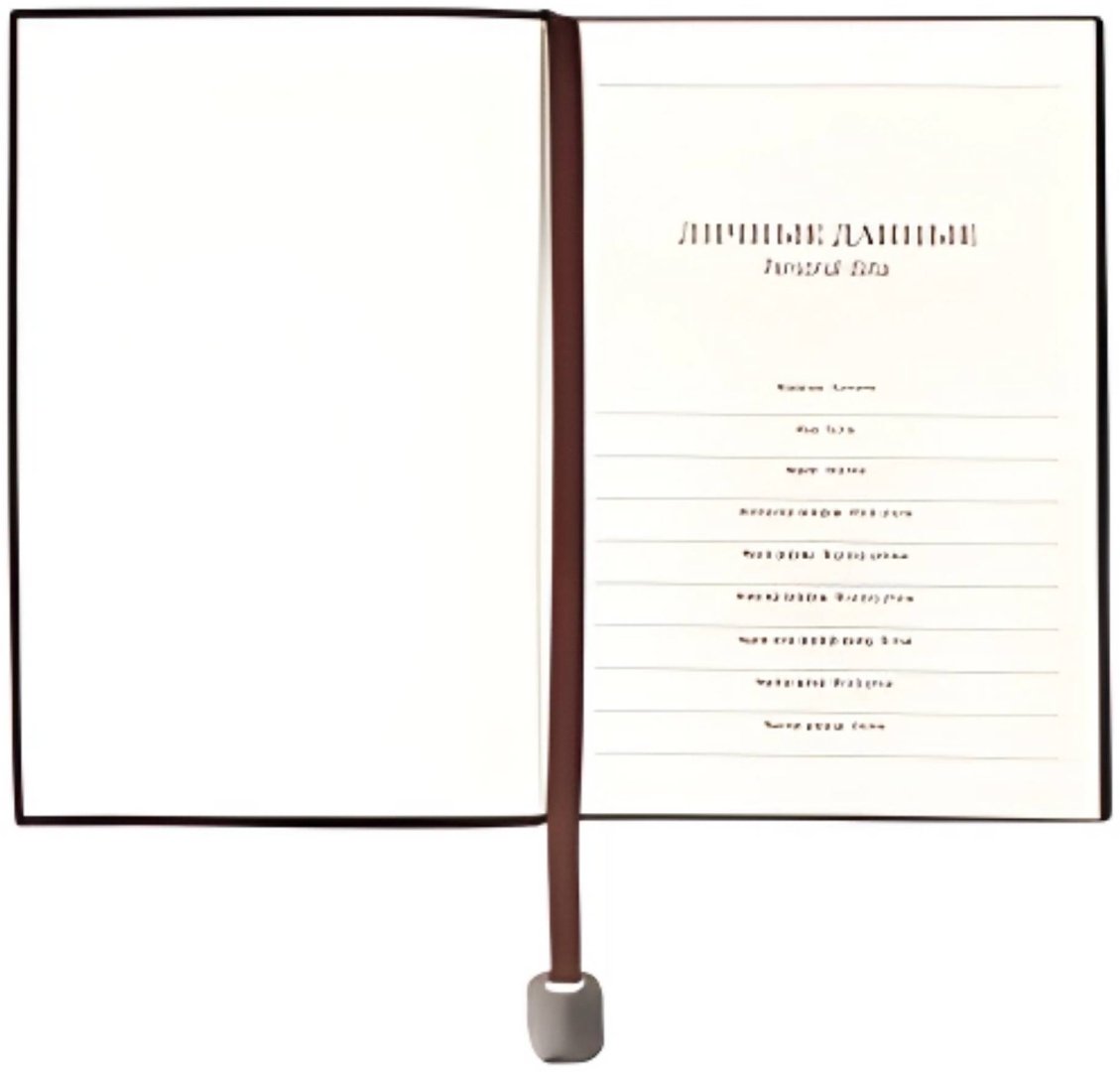 Ежедневник Jooydoo Экокожа, B5, 116 л, мультиколор