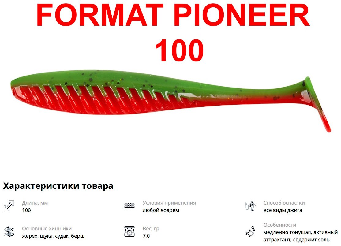 Мягкая приманка IAM FORMAT PIONEER 100 F17 PI100-F17 5 шт 10 мм F17 купить,NaN