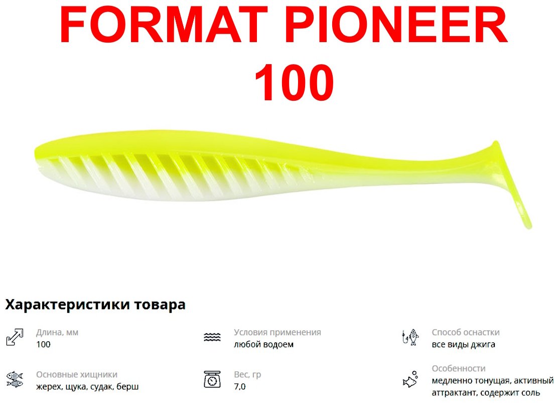 Мягкая приманка IAM FORMAT PIONEER 100 F30 PI100-F30 5 шт 10 мм F30 купить,NaN