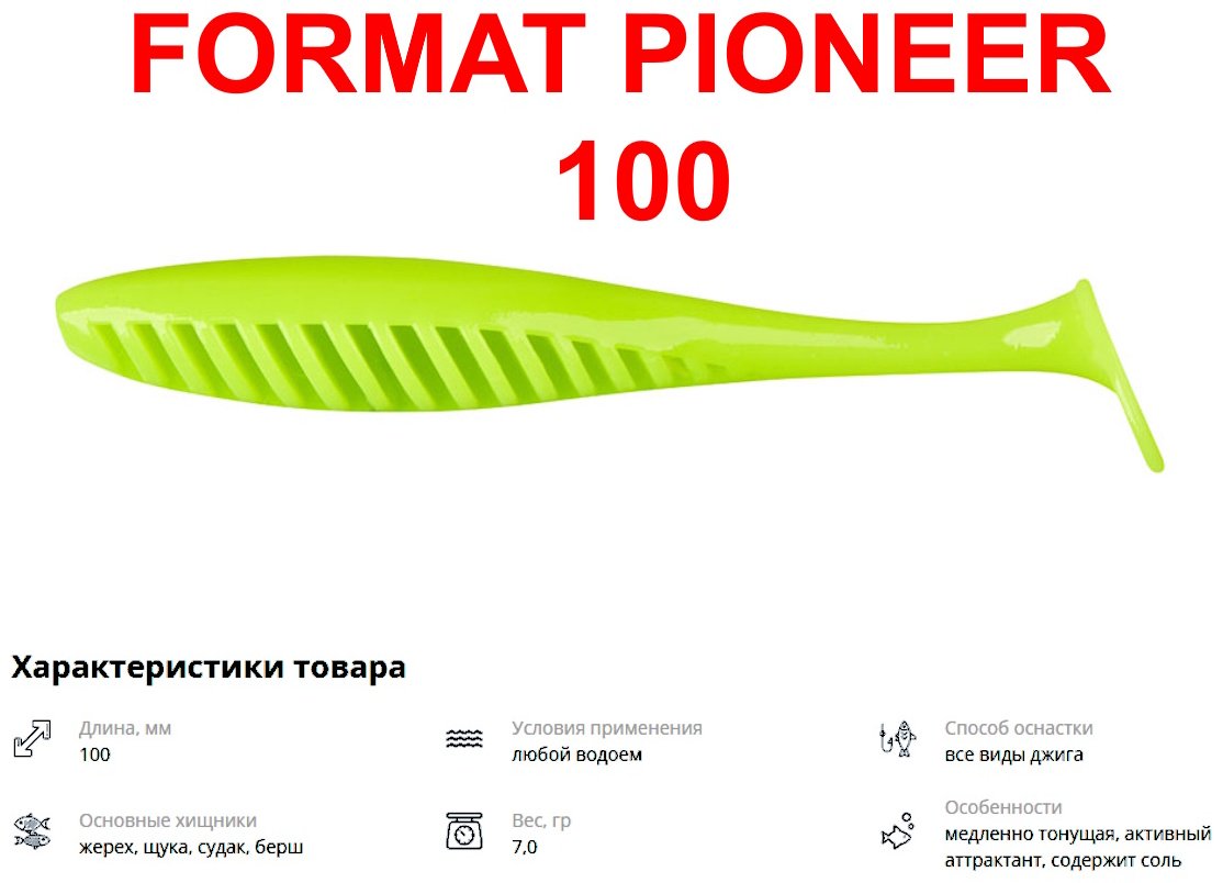 Мягкая приманка IAM FORMAT PIONEER 100 F19 PI100-F19 5 шт 100 мм F19 купить,NaN