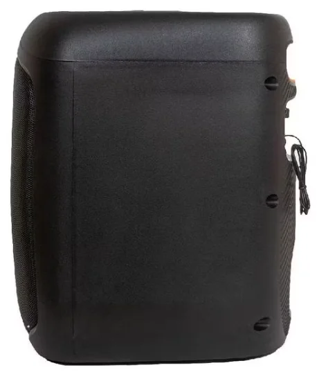 Акустическая система Aiwa CAS-200 Black - ForteMarket Акустическая система Aiwa CAS-200 Black купить,0