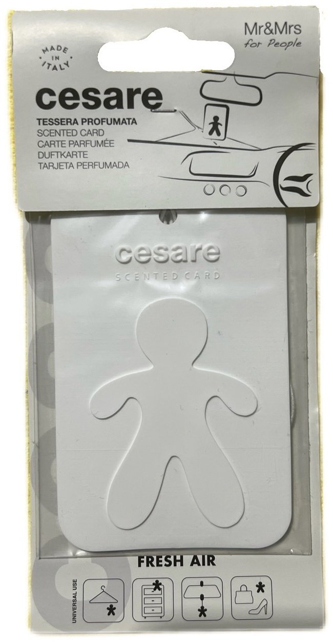 Mr&Mrs Fragrance ароматизатор пластиковый MRMRS01 Cesare Fresh air купить,NaN