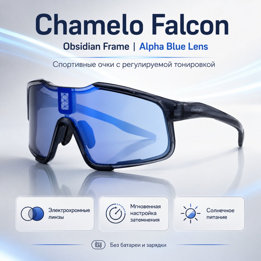 Смарт-очки Chamelo Falcon черный купить,NaN