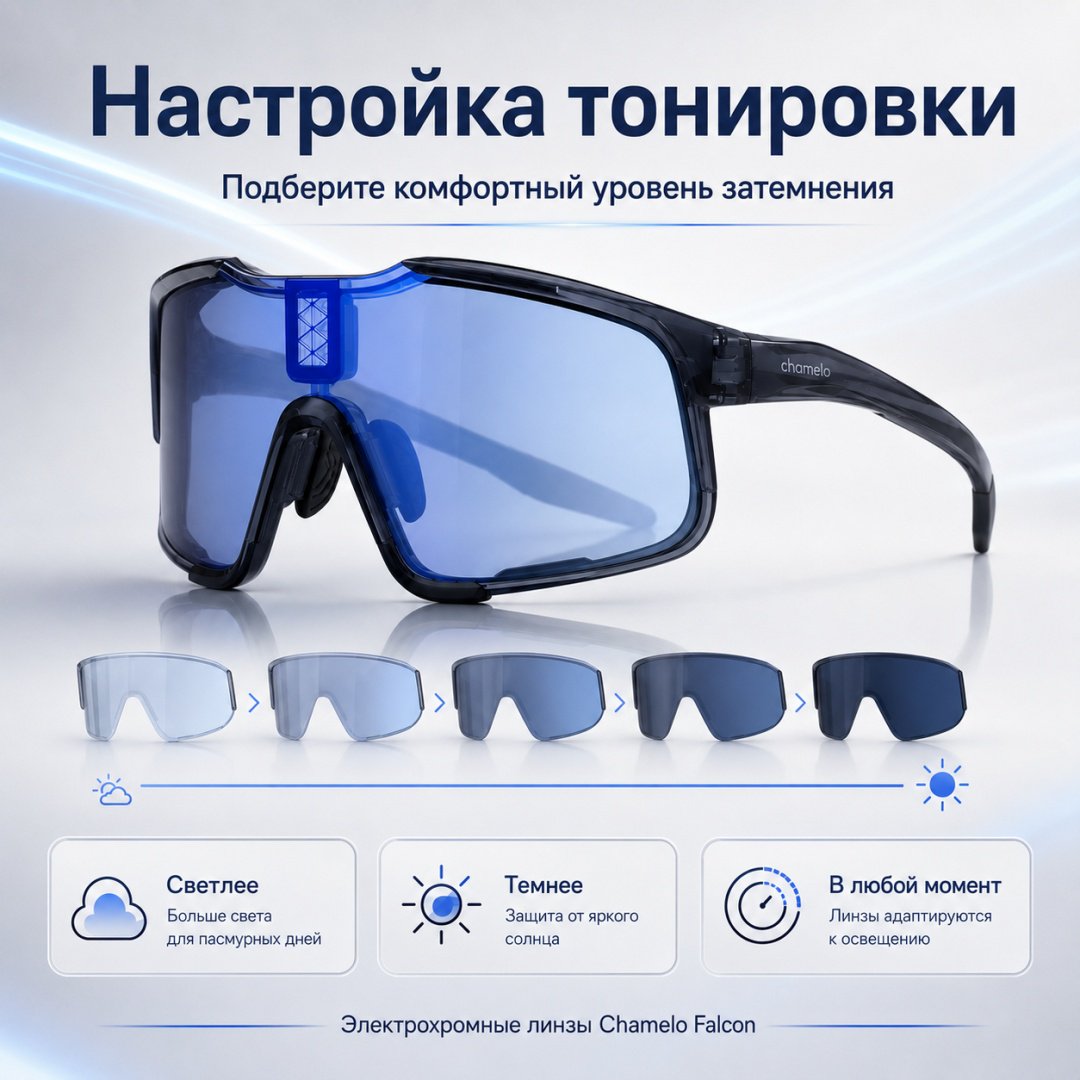 Смарт-очки Chamelo Falcon черный купить,NaN