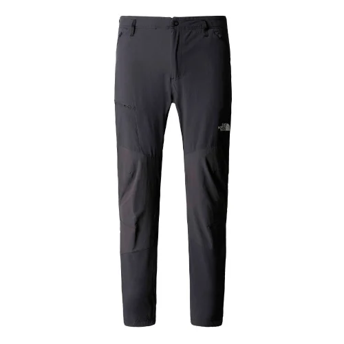 Брюки мужские The North Face Speedlight Slim темно-серые 32