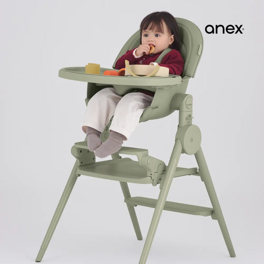 Аксессуары для стульчиков Anex Anex OZY OZ-FR зеленый