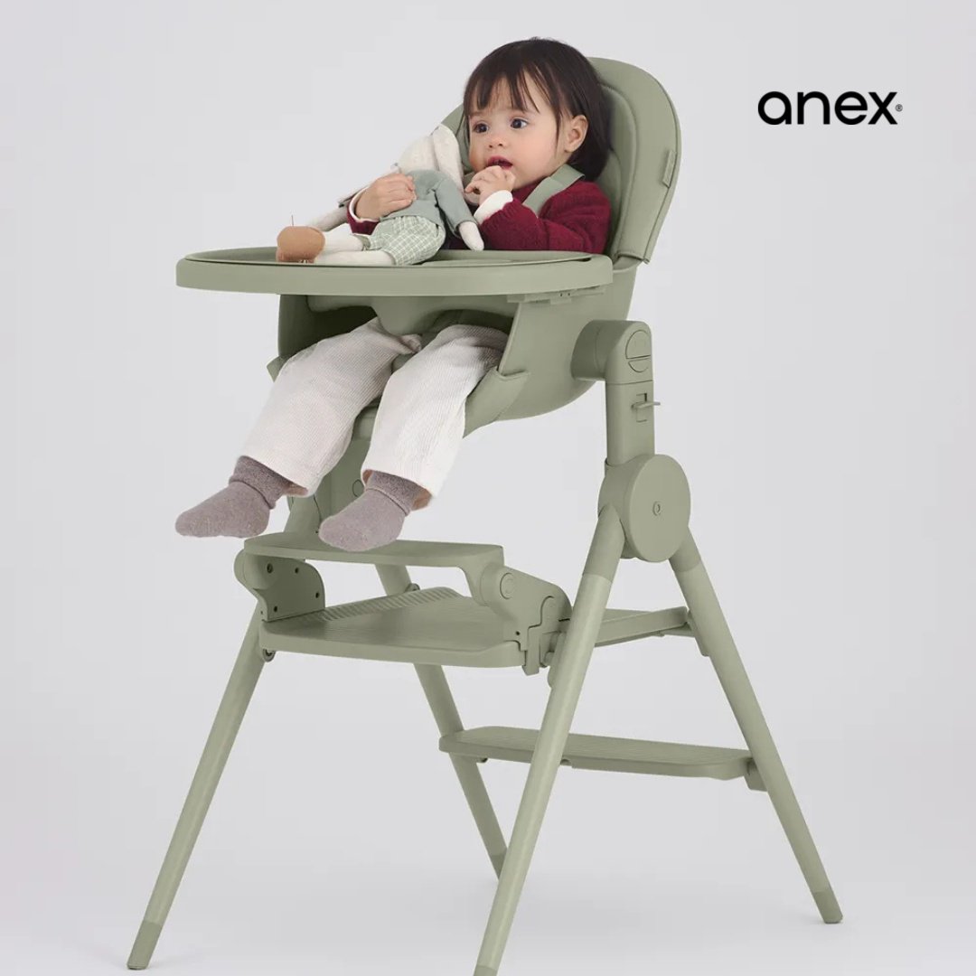 Аксессуары для стульчиков Anex Anex OZY OZ-FR зеленый купить,NaN