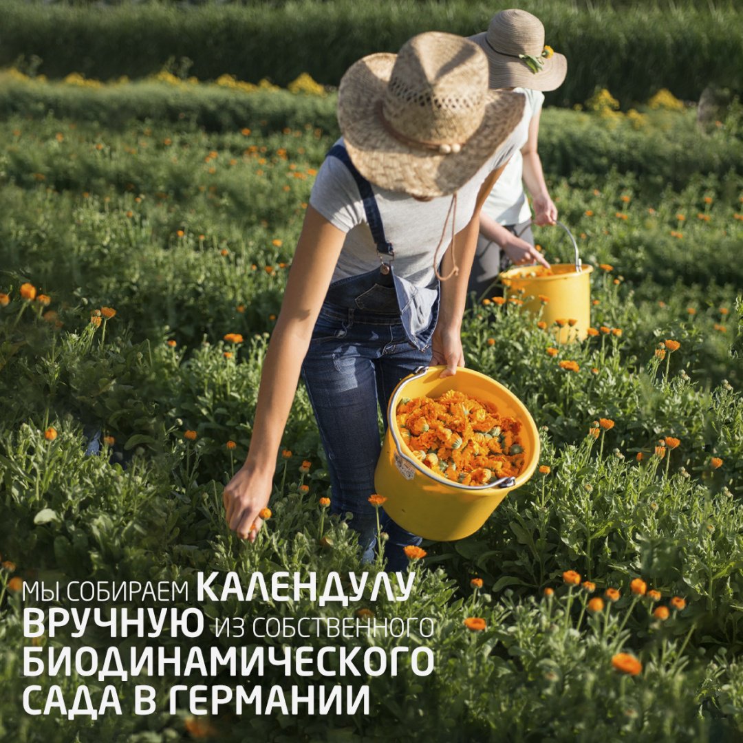 Шампунь Weleda 200 мл купить,NaN