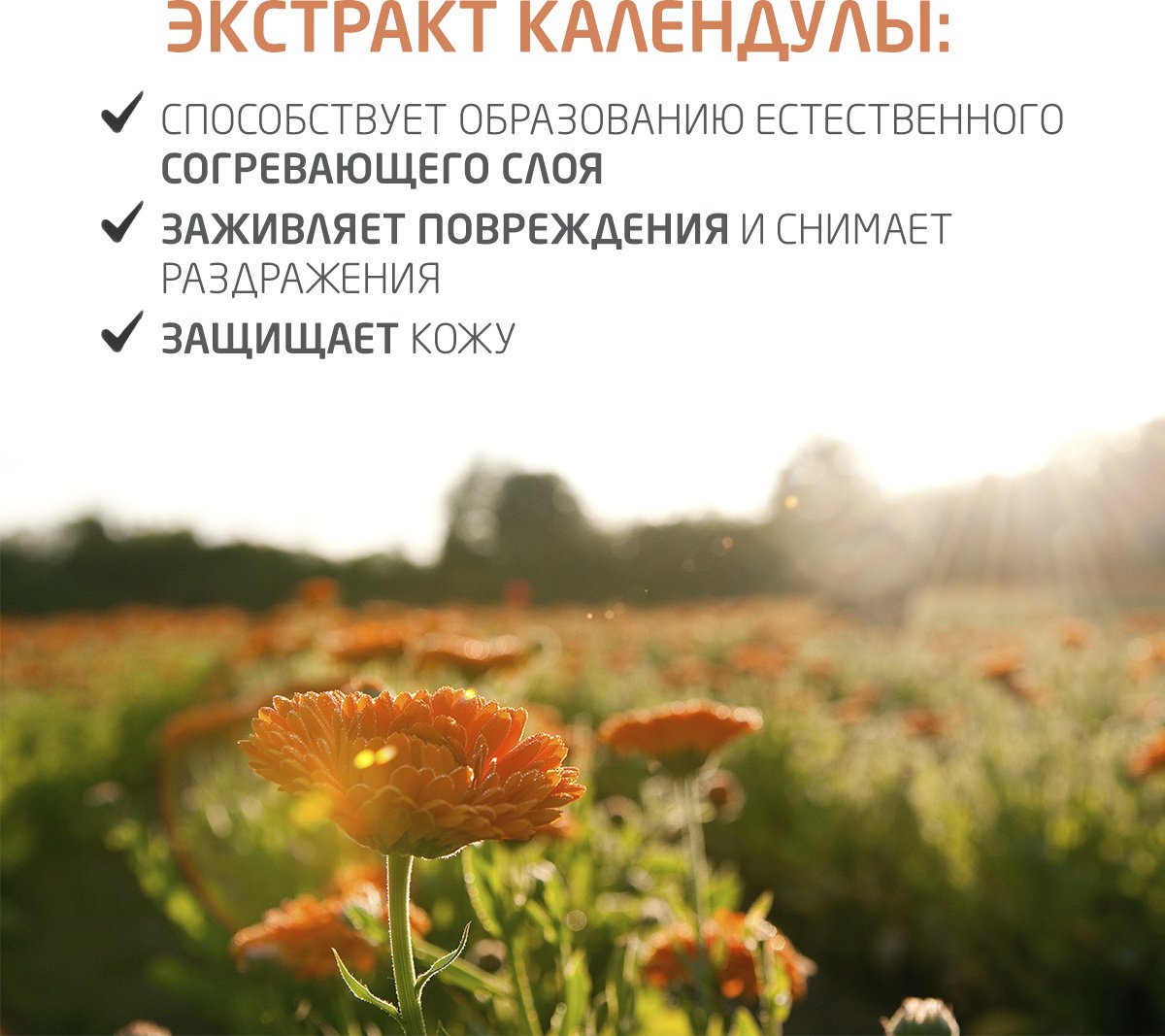 Шампунь Weleda 200 мл купить,NaN