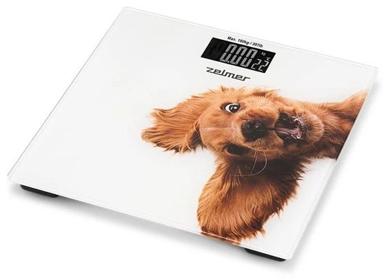 Напольные весы Zelmer электронные ZBS1010 CRAZY DOG до 180 кг купить,NaN