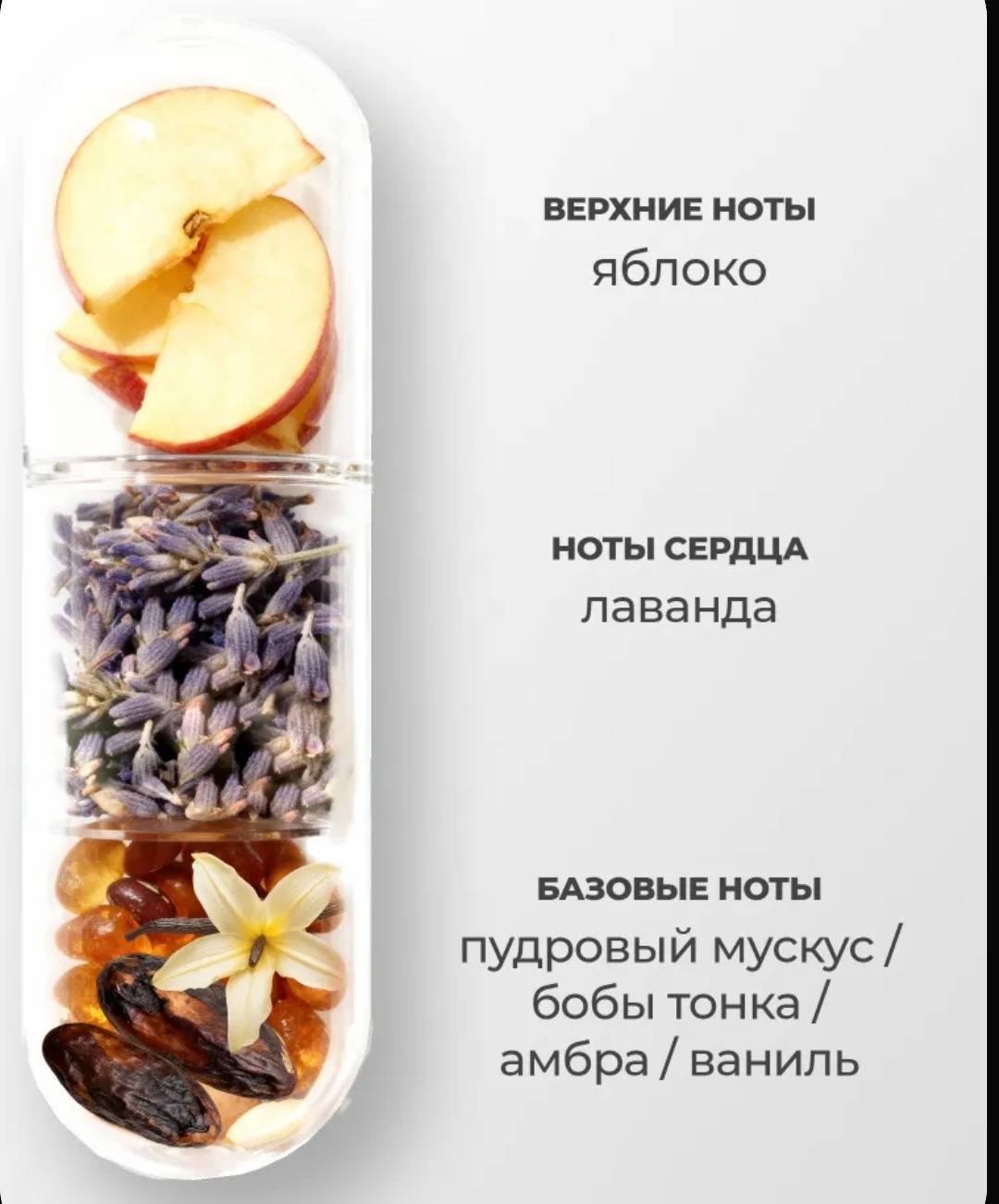 Диффузор с палочками Touch for you мускус, амбра 50 мл купить,NaN