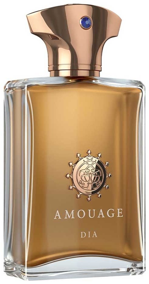 Amouage Dia парфюмерная вода EDP 100 мл, для мужчин купить,388860