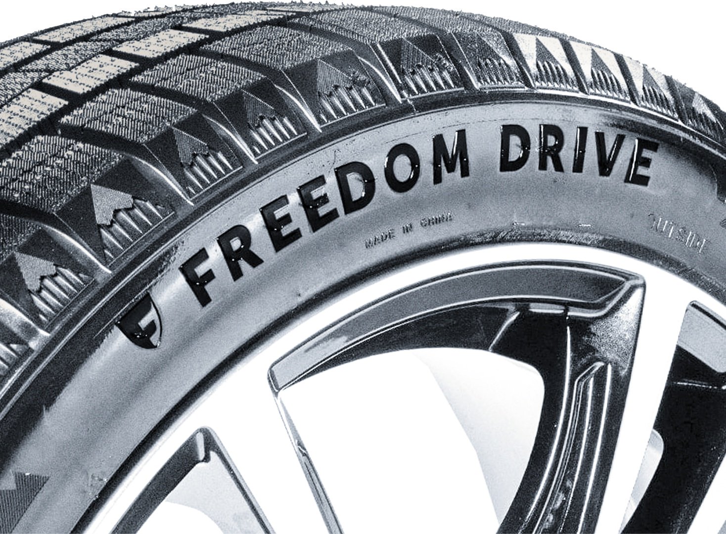 Freedom Drive Winter cross SG 215/70 R16 100 Q без шипов купить,NaN