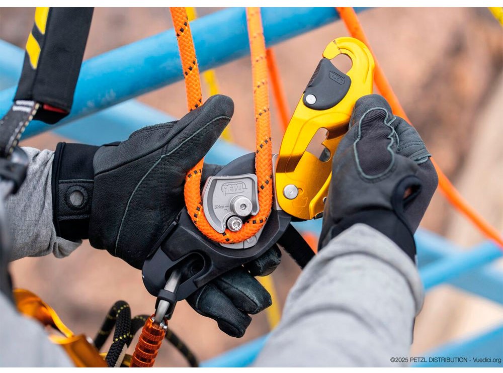 Спусковое устройство Petzl RIG, D021AB00 17 см