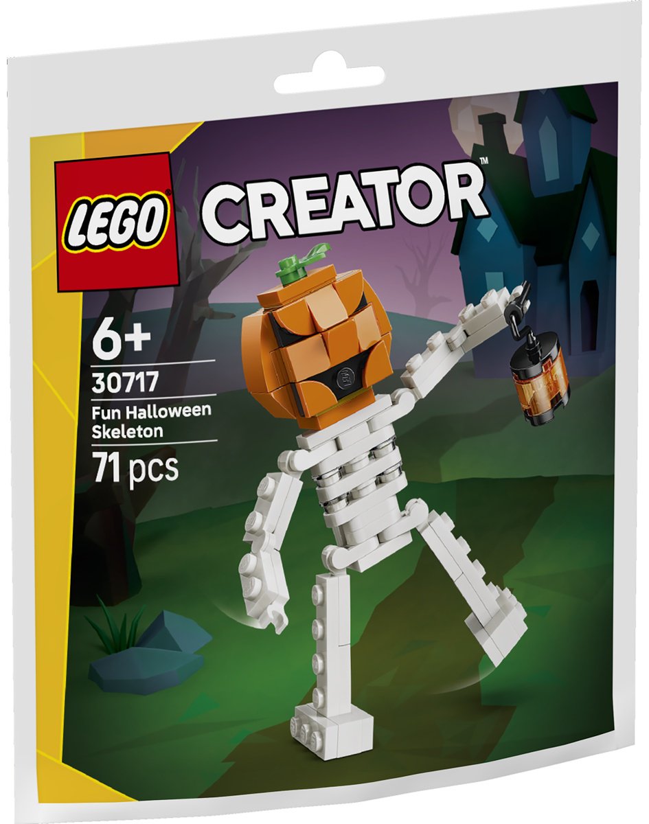Конструктор LEGO Creator 30717, деталей 71 шт купить,3489