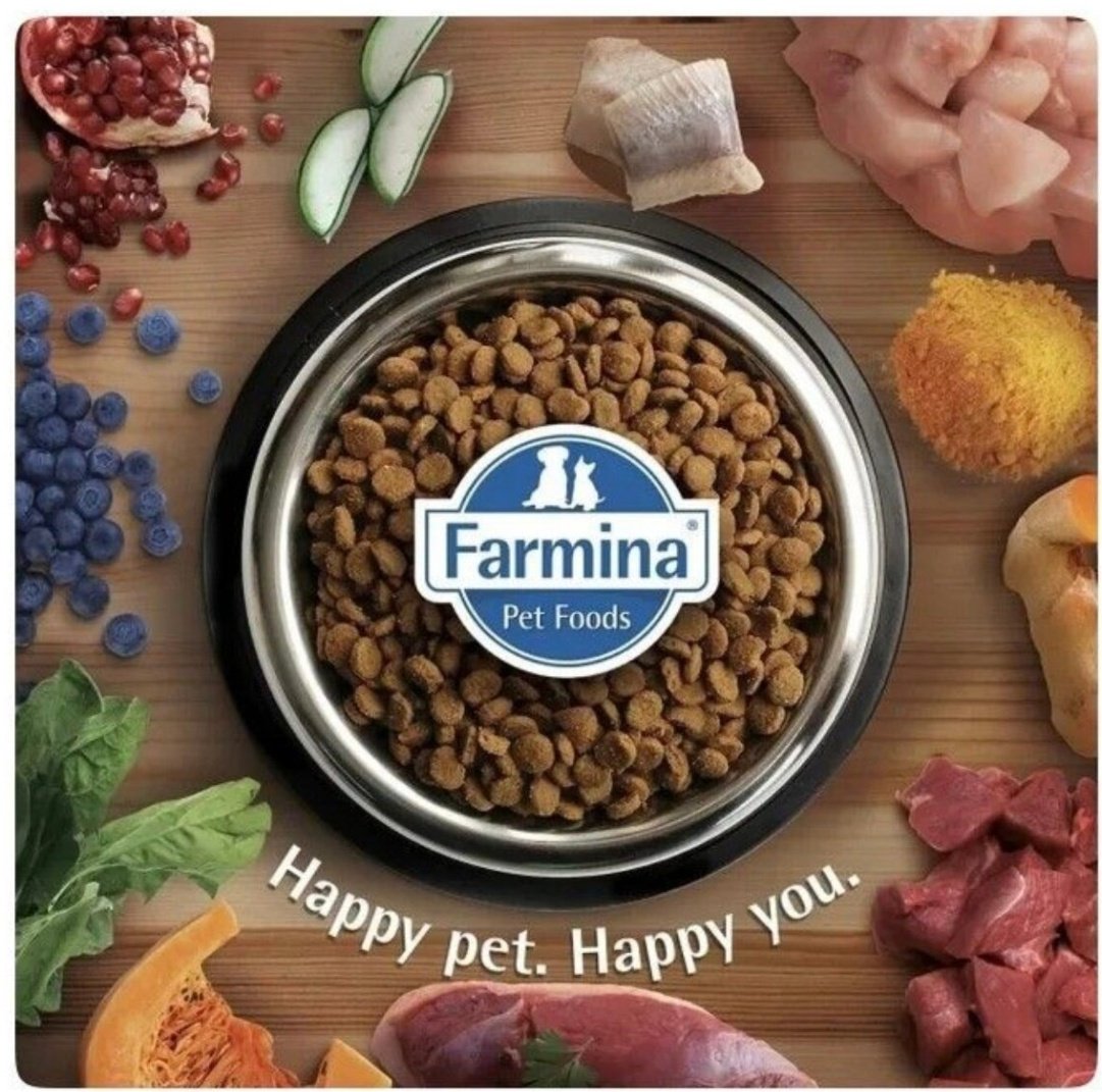 Корм Farmina N&D Prime Kitten для котят курица, гранат 1.5 кг купить,NaN