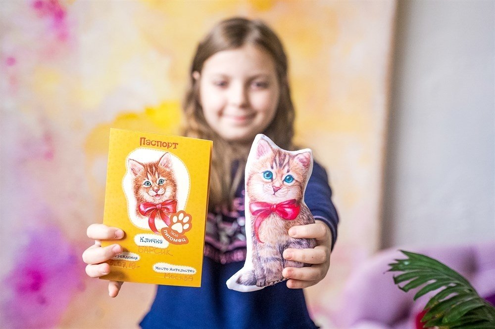 Бумбарам Сшей игрушку Котенок dd-6 купить,NaN