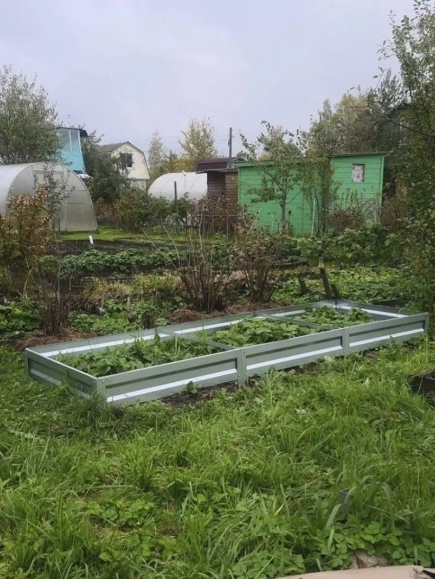 Грядка 300*100*20 серебристый купить,function inputValueFn(){if((0,signal2.mK)(node),node.value===REQUIRED_UNSET_VALUE)throw new root_effect_scheduler.buA(-950,null);return node.value}