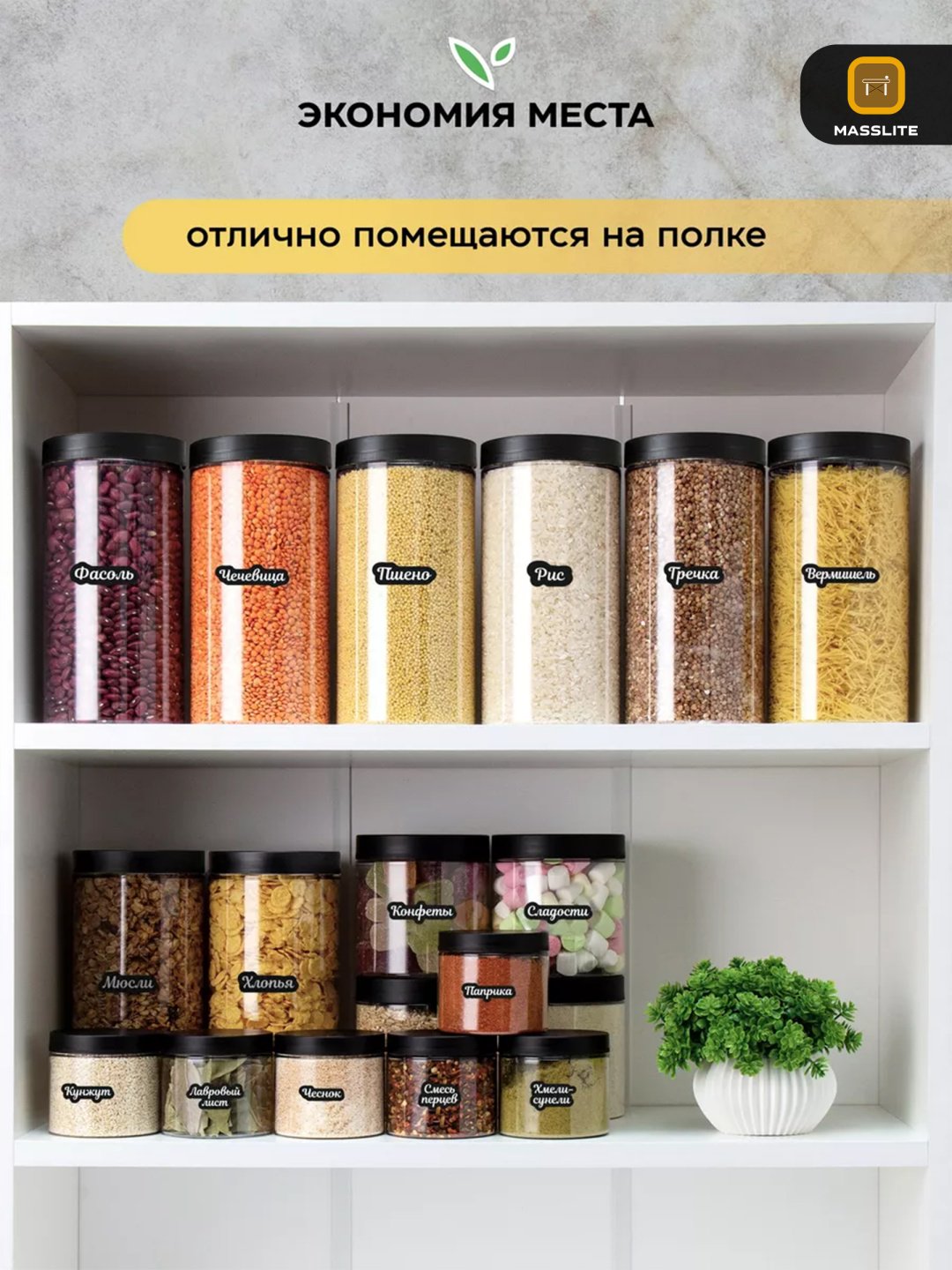 MassLite набор контейнеров DD-000070, пластик купить,NaN