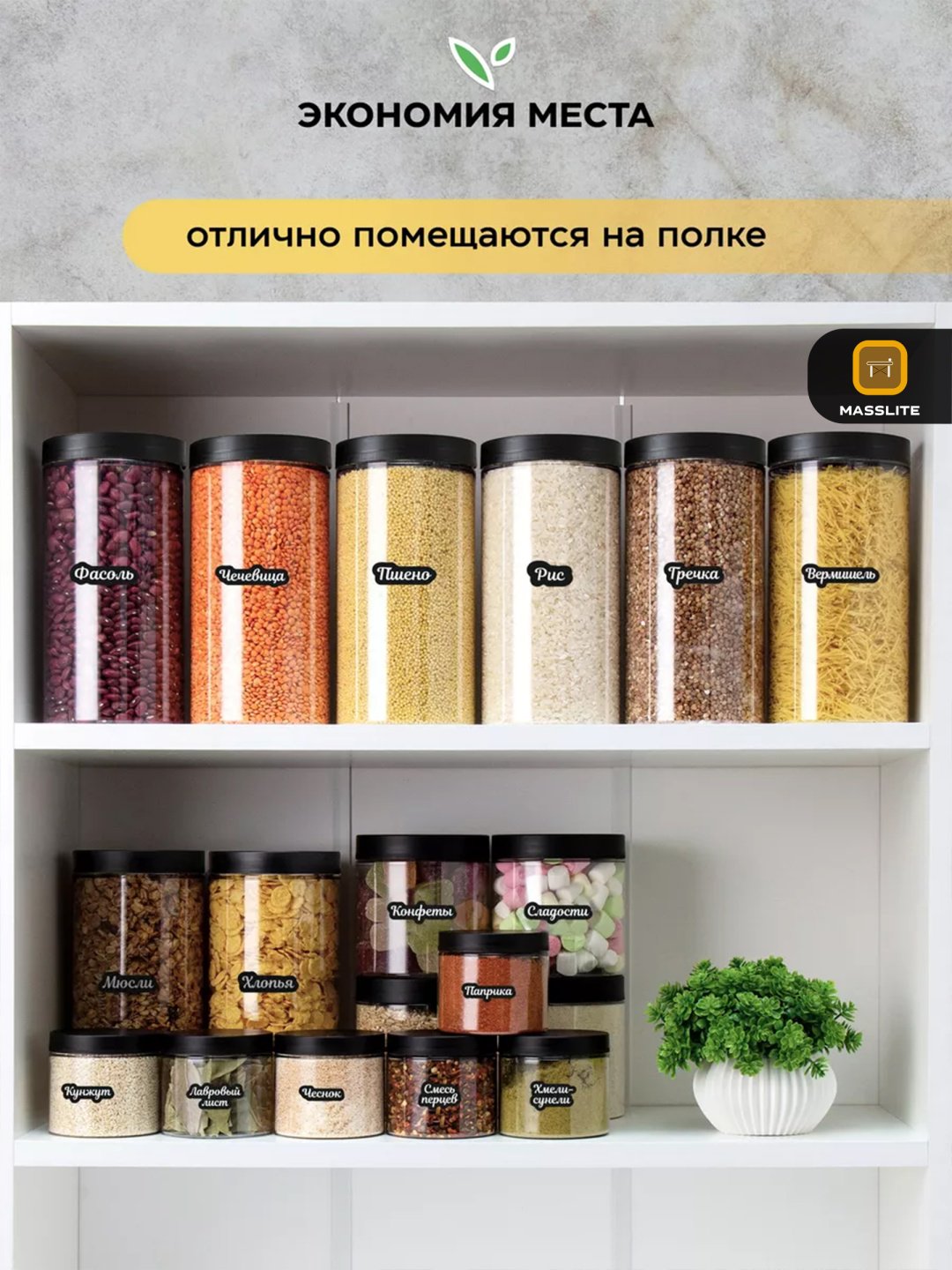 MassLite набор контейнеров DD-000173, пластик купить,NaN