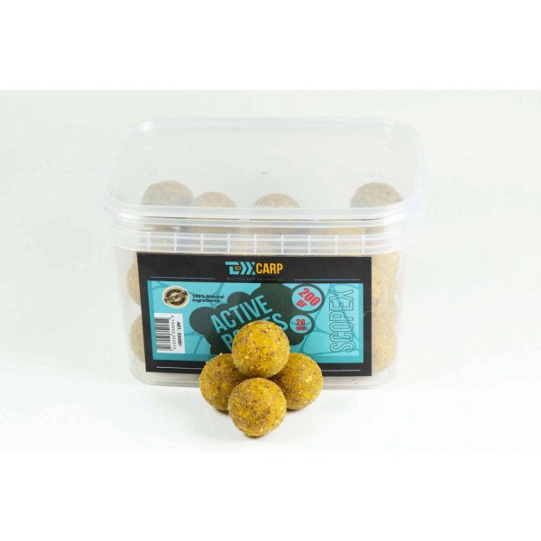 Бойлы Texx Carp Active Boilies Scopex 20mm 200 gr купить,NaN