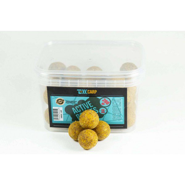 Бойлы Texx Carp Active Boilies Scopex 20mm 200 gr купить,NaN