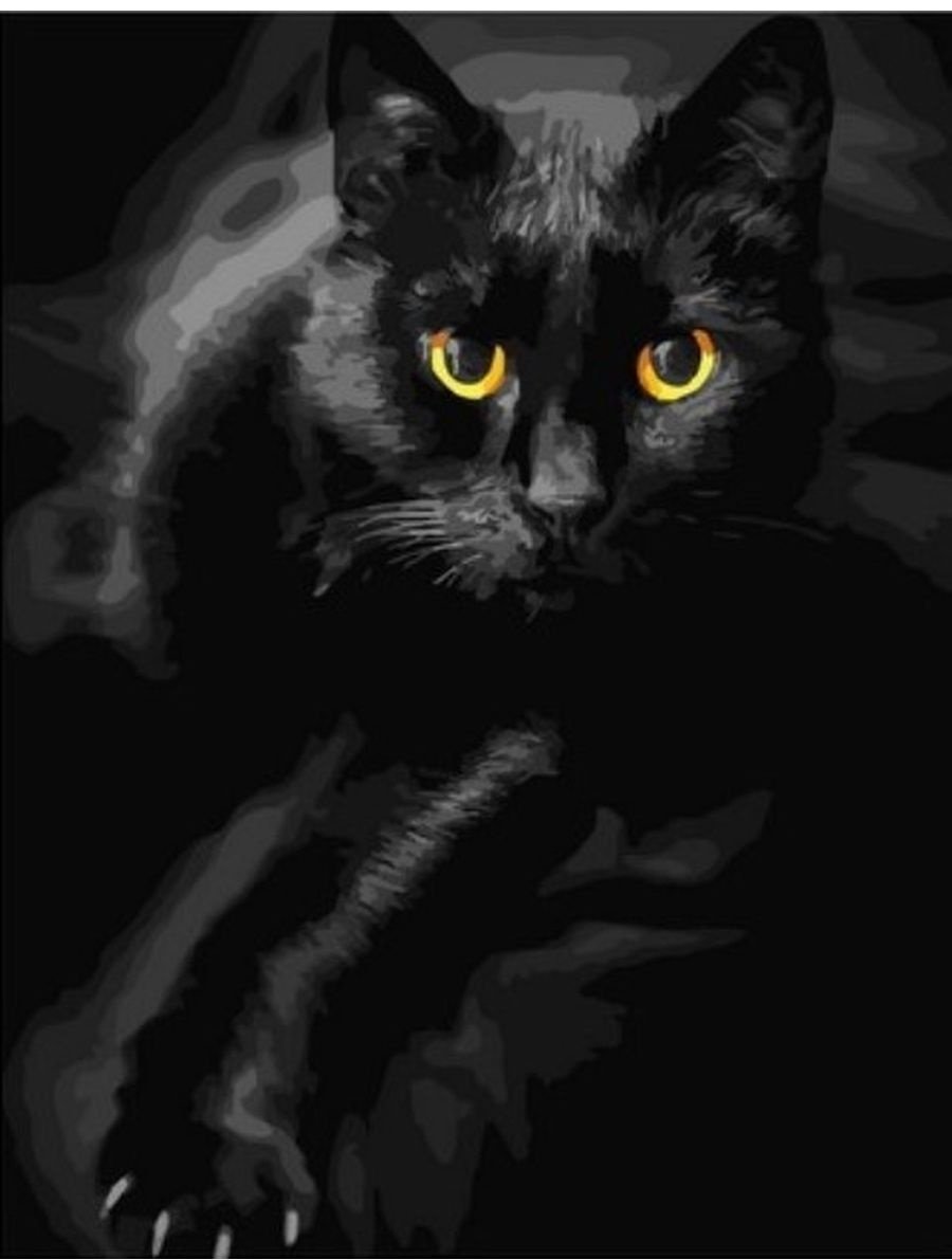 Картина Paintboy Черный кот холст на подрамнике 40x50 см купить,NaN