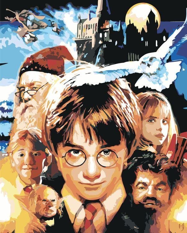 Картина Живопись по номерам Potter_025 50 см x 40 см купить,NaN